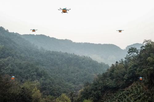 菜鸟无人机助力新茶开采 狮峰龙井第一采由无人机运输