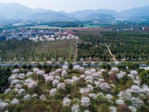 “美丽公路”助推美丽乡村建设