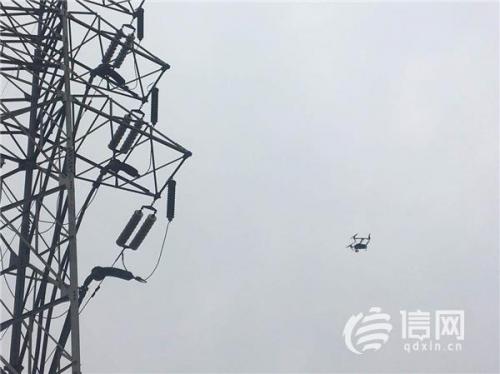 国网青岛供电公司：线路巡视用上无人机