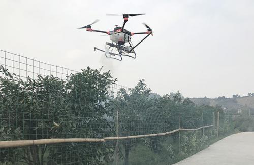 乐山井研柑橘植保用上无人机