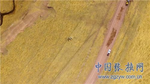 山丹马场首次启用无人机巡查森林草原防火