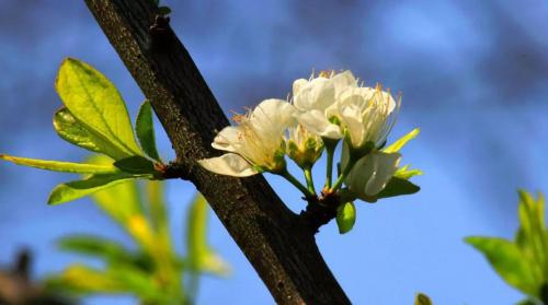 清明踏青，如何发个有逼格的朋友圈？
