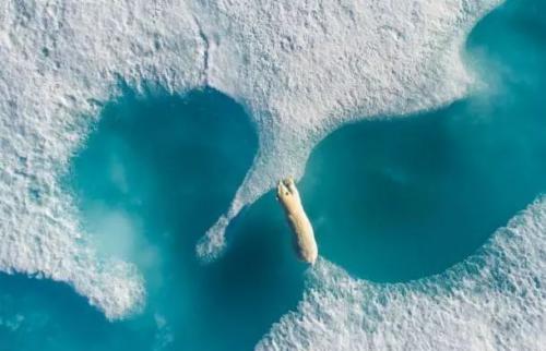 这样的照片才称得上“上帝视角”，有些俯拍照片最多叫“无人机视角”