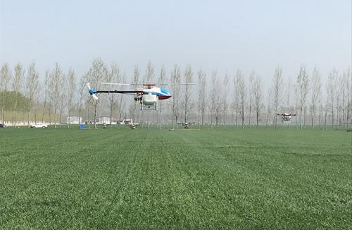 全国小麦病虫害防治现场会 植保无人机亮相田间