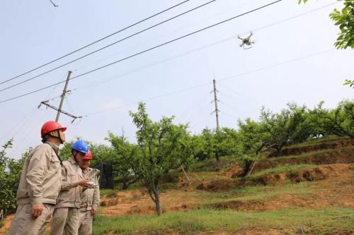 武平电网也酷炫！开启“无人机+”模式排查山火隐患！