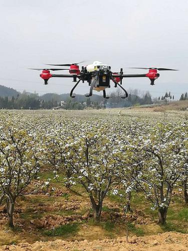 国家梨产业技术体系首席专家在利川市召开“无人机液体授粉技术”现场会