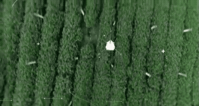 京东这家互联网公司，想要怎样去改变农业？