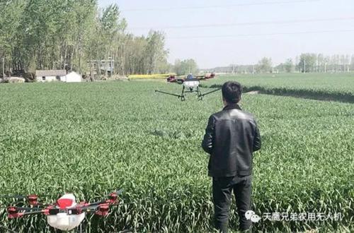 无人机齐上阵！统防统治小麦病虫害