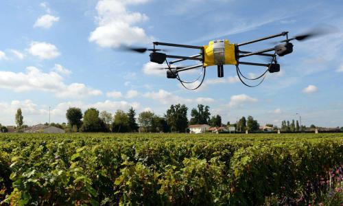 麦飞科技CTO刘龙：我们不做植保无人机，而是运用遥感+AI技术打造精准农业服务