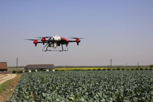 南阳街道：种田用上高科技 无人机喷洒农药