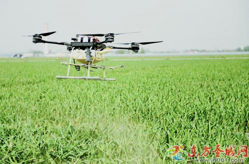 农田上空来了“飞将军” 无人机植保飞防队助力“大农业”