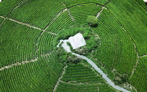 图集 | 看摄影师用无人机 俯瞰贵州春天