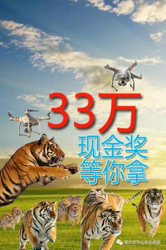 栾川东北虎园无人机摄影大奖赛开始啦！33万现金大奖等您来拿！