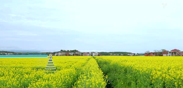 一飞智控开启农业万物互联、万物融合巨变时代