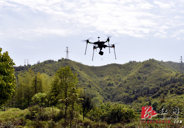 靖州：无人机上天巡查 毒品罂粟无处遁形