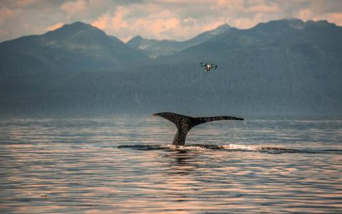 Intel 说未来世界要从智能变为“自能”，自动驾驶或“一车当先”