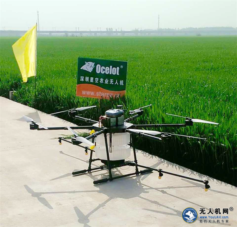 保证大丰收——星空创新无人机一喷三防作业中