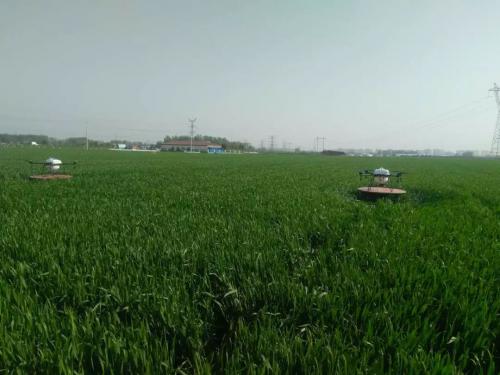 飞手的诗| 心系四月 心系标普