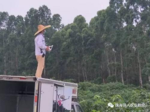 羽人为农服务，开展植保无人机飞防植保作业
