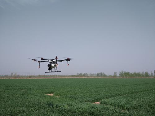 省时省钱效果好 夏津无人机助力小麦病虫害防治