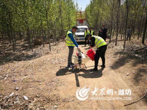 寿光市林业局利用无人机飞行作业防控春尺蠖