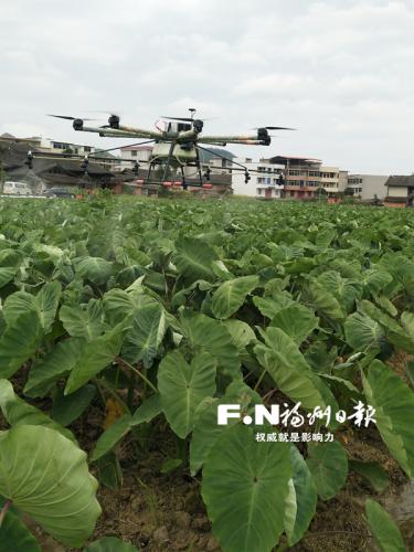 永泰：合作社农民当“甩手社员”