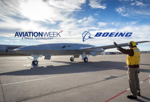 晨枫：神秘的“黄貂鱼”