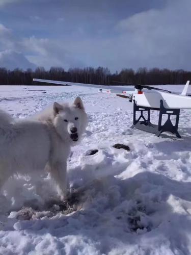 经过战斗民族的洗礼，大鹏…