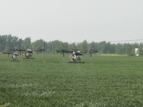 颍东区小麦“一喷三防”植保无人机唱主角