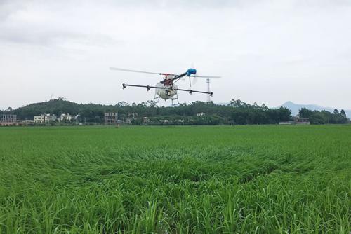 龙门县：植保无人机提高作业效率助夏粮丰收