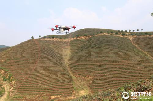 吴兴：无人机喷药 提高效率省成本