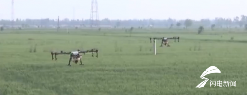 麦田打药用上高科技 济宁30多架无人机升空来帮忙