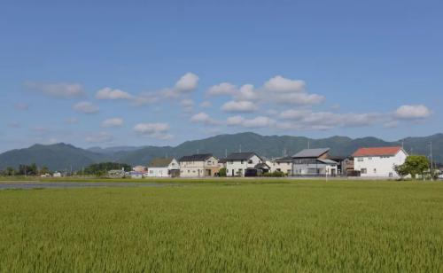 谨小慎微的日本农民，遇上胆大心细的中国无人机