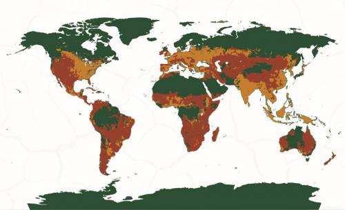 农民不必再靠天吃饭 农业领域六大数字化转型趋势