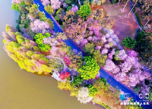 中国旅游日丨海岛、湿地、玻璃桥 无人机带你瞰缤纷南国