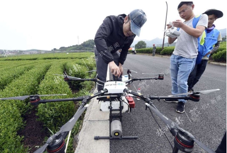 西湖区的龙井茶园全域采用无人机飞防植保啦！