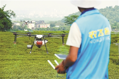 西湖区龙井茶园全域实施无人机飞防植保