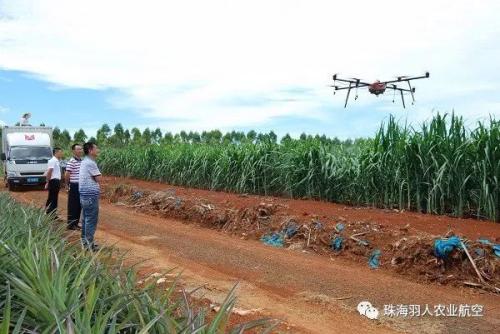 国家航空植保科技专家呼吁：植保无人机安全用药迫在眉睫