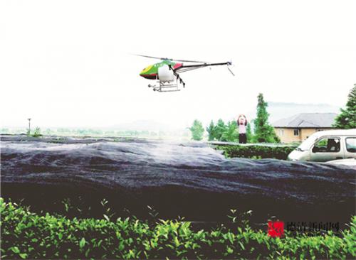 茶园植保首次用上无人机