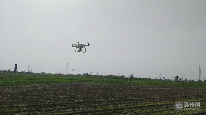 无人机出动 | 滨城区市东街道城管执法中队空中巡查罂粟种植