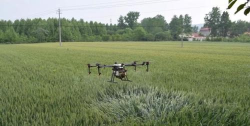植保无人机服务产业助力精准脱贫