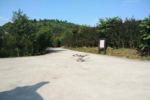 綦江：植保无人机空中喷药防治紫薇花虫害