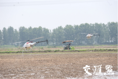 视频 | 无人机飞入农田！全国首个“京东农场”落地江苏