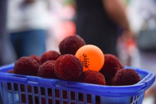 天猫618为剁手党喜提仙居东魁“兵乓球”杨梅 果农笑开了花！