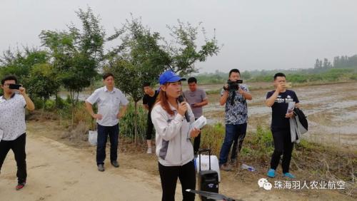 回顾：秒播！荆门首次试验无人机飞播水稻 农民竖指称赞