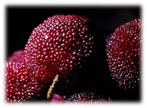 甜过初恋！菜鸟无人机加入天猫618，喜提仙居杨梅6万箱