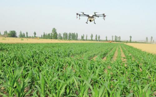 曲沃：无人机叶面肥喷洒 推动农业绿色发展