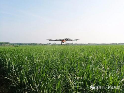 20公斤的“谷上飞”超级灵活！起飞！转身！一气呵成