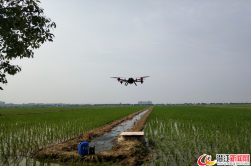 潜江丨熊口农场开展无人机技术推广活动