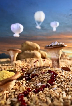 拜耳+极飞+农村淘宝=?